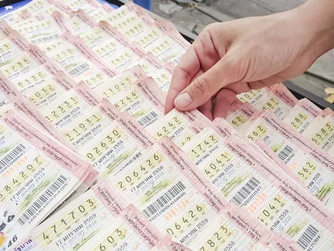 团队与合规背书